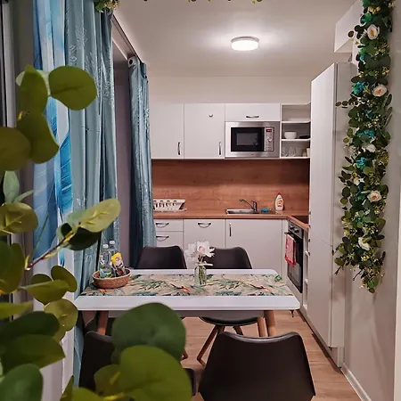 Z-D Apart 2-99 * Brno